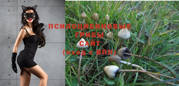 МДПВ Алексин