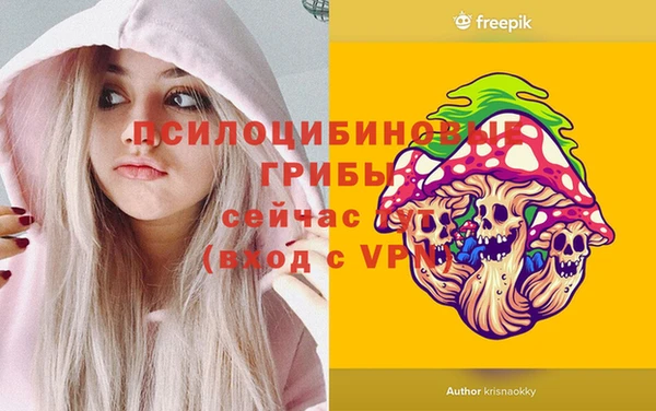 спайс Алзамай