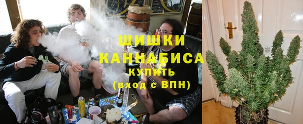 спайс Алзамай