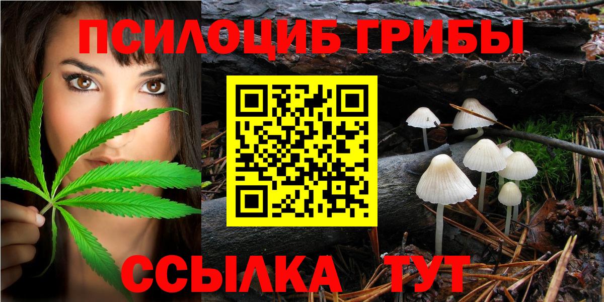 Новошахтинск  Галлюциногенные грибы Psilocybine cubensis  купить наркотики сайты  Вход с VPN 