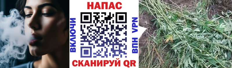 мега ССЫЛКА  где можно купить   Новошахтинск  Конопля ГИДРОПОН 